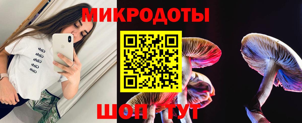 Галлюциногенные грибы Psilocybe  Вход с VPN  Воткинск 